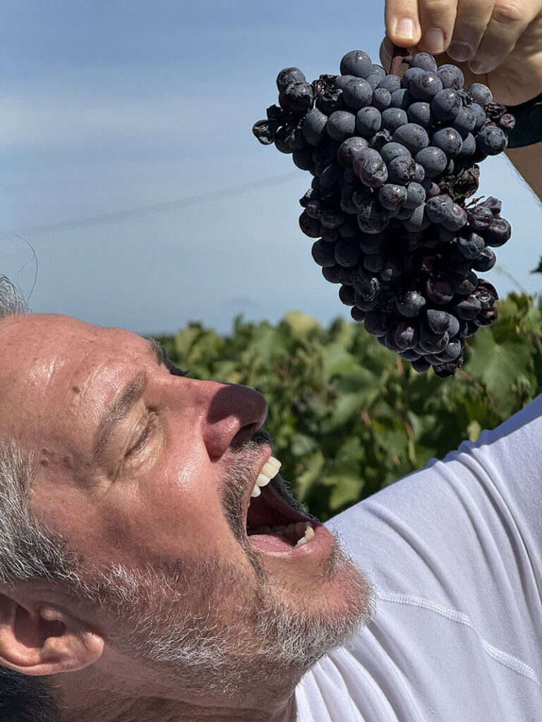 Wine-Week-Man-tasting-grapes-in-italy